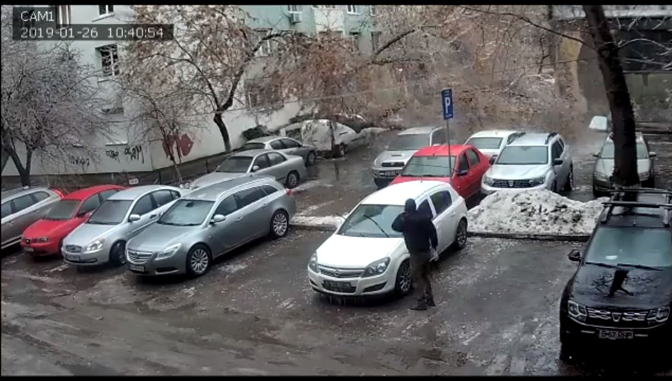 Efectul "ploaia înghețată", surprins pe cameră. Iată momentul în care un copac se prăbușește!