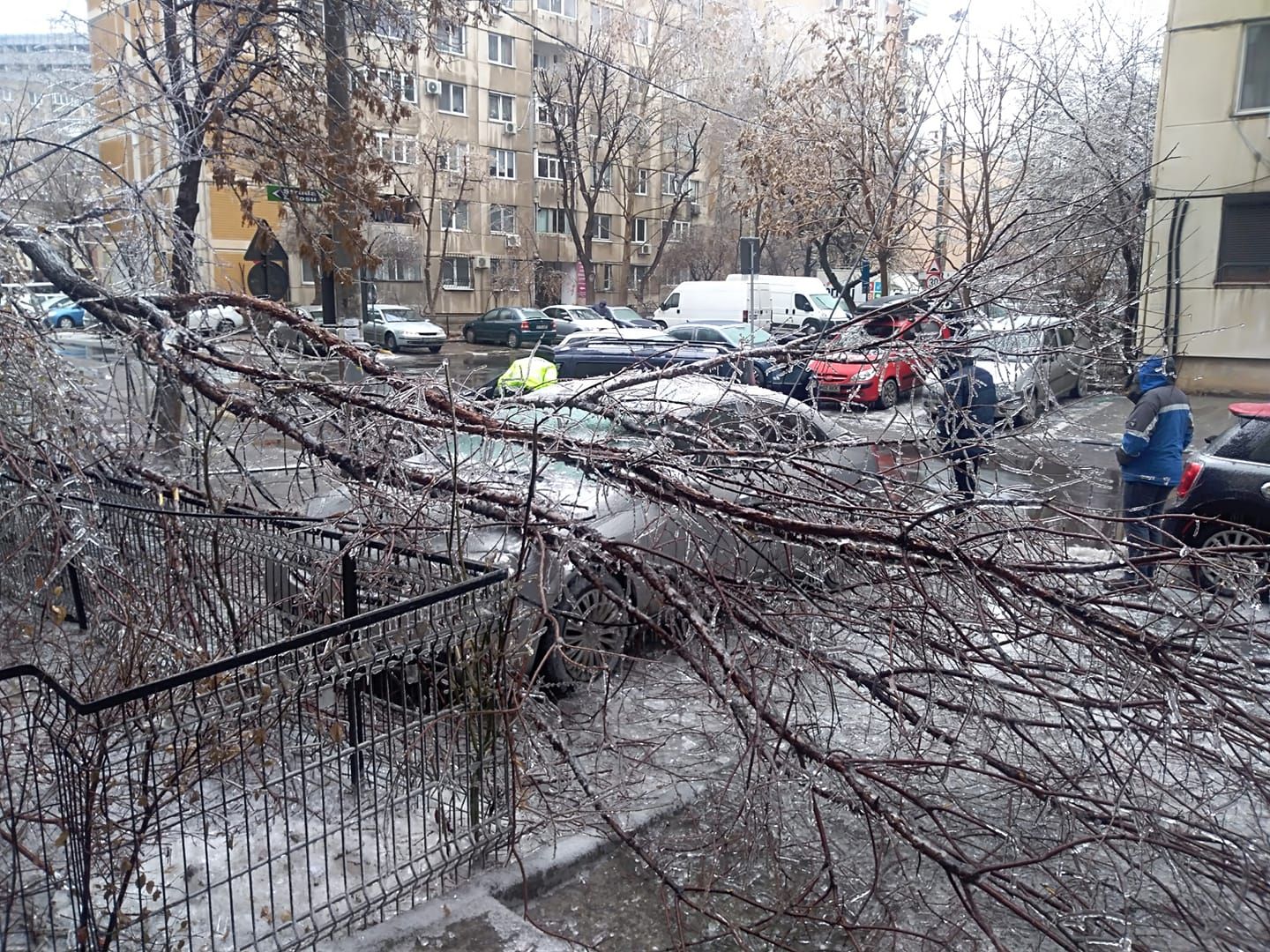 Dezastru în Bucureşti după ploaia îngheţată. Ce-au văzut locuitorii