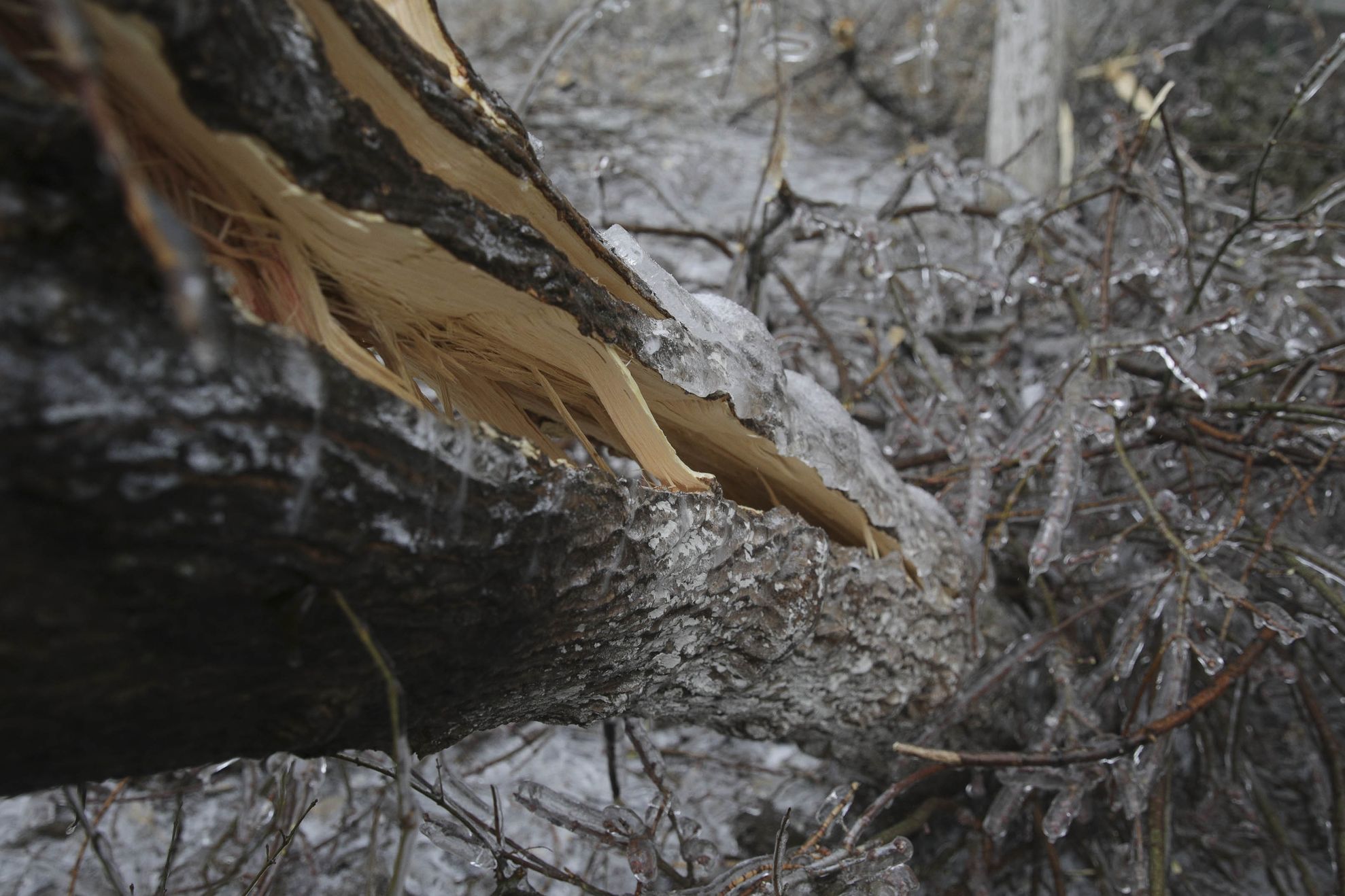 De ce au primit bucureştenii mesaje de la sistemul RO-Alert