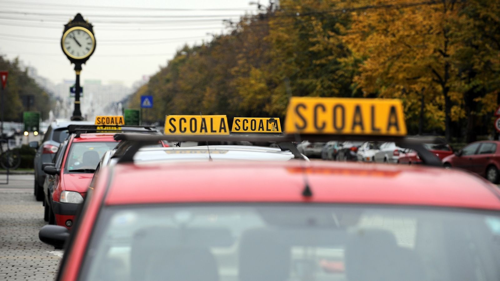 Școala de șoferi - GRATUITĂ pentru tinerii din medii defavorizate