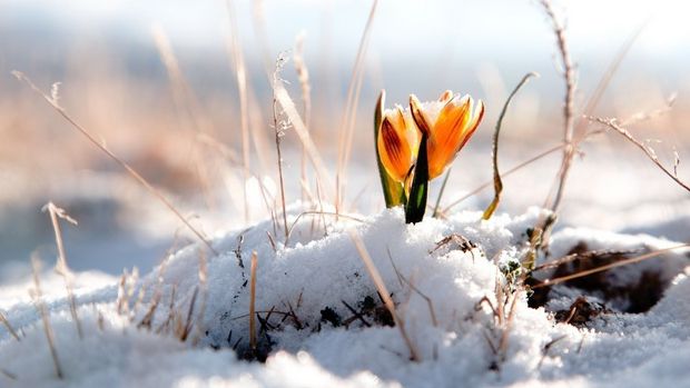 Vremea se încălzește de luni! Temperatura maximă: 10 grade