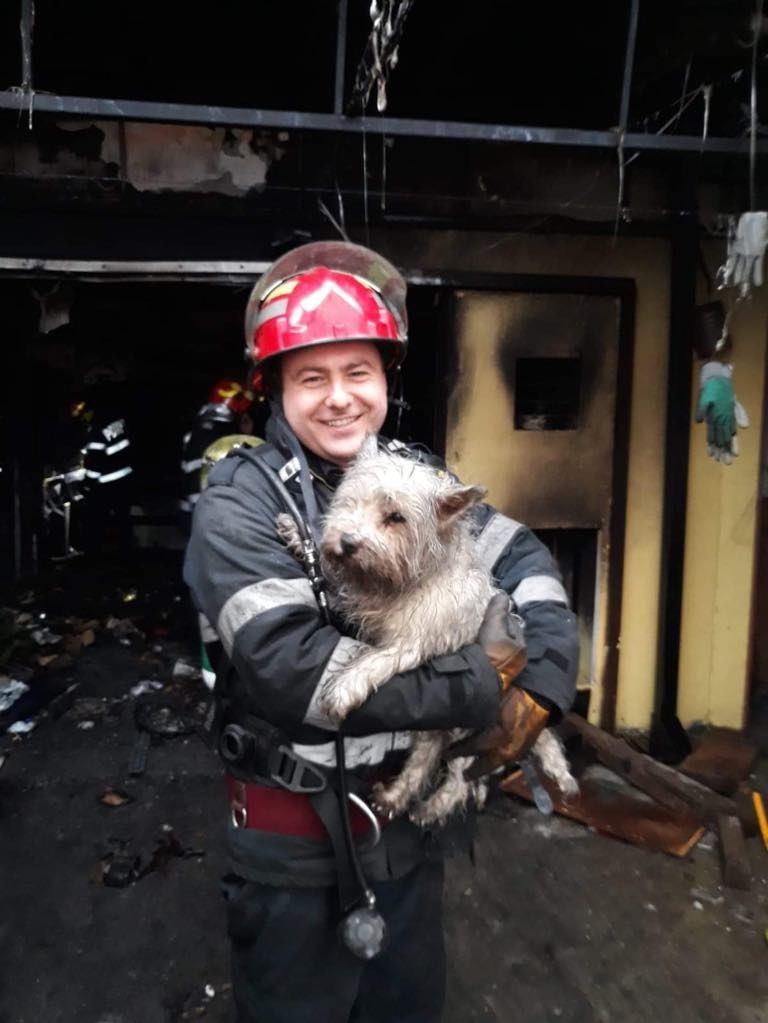 Moment emoționant. Salvare miraculoasă făcută de pompieri