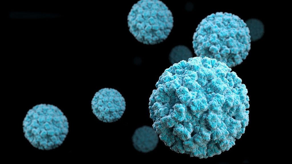 Infecția cu norovirus: Cauze și simptome