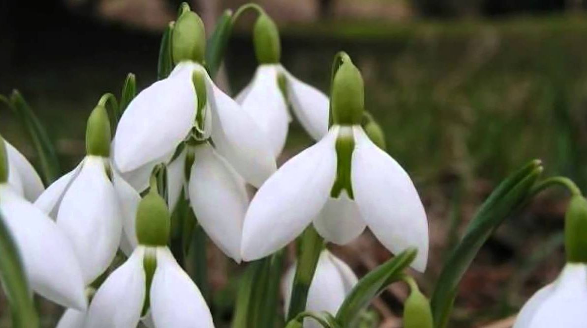 Horoscop martie 2019: Apar lucruri neprevăzute pentru toate zodiile