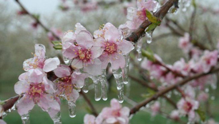 ECHINOCȚIUL DE PRIMĂVARĂ 2019. Tradiții și obiceiuri pentru 20 martie!