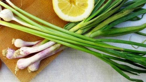 Usturoiul verde, o adevărată "armă" anti-cancer