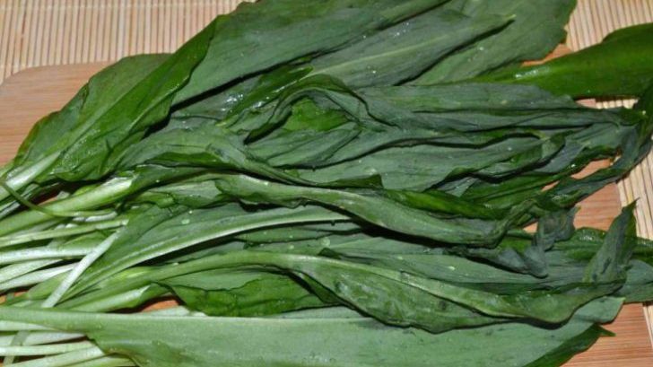 Ce este, de fapt, LEURDA. Mai mănânci vreodată această plantă?