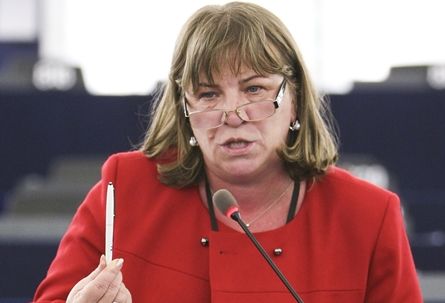 O nouă avertizare către PSD! Norica Nicolai a identificat o problemă de colaborare în coaliţie