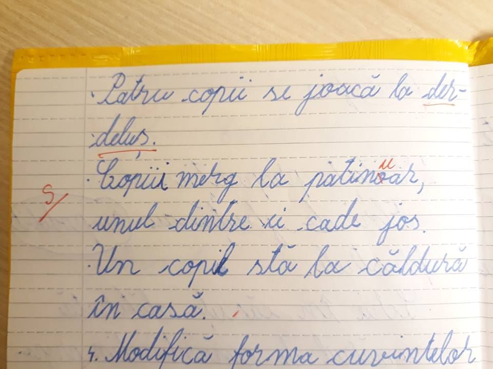 Învățătorul care a corectat cuvântul „patinoar” cu „patinuar”, trimis la evaluare