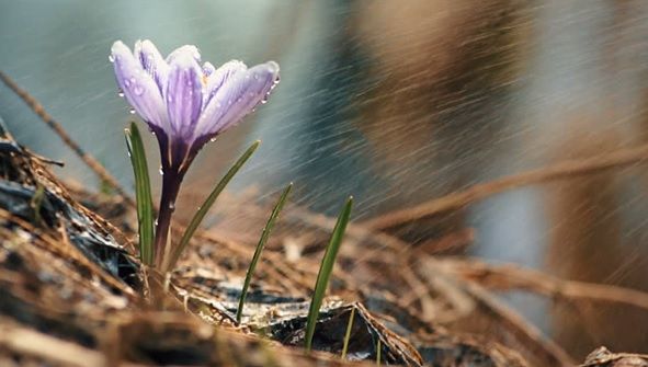 Prognoza meteo a fost revizuită. Schimbări neașteptate: cum va fi vremea până pe 29 aprilie 