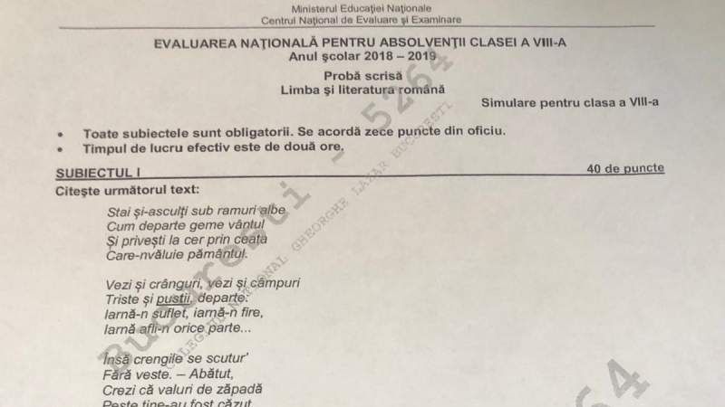 Subiecte simulare 2019 Română clasa a 8-a și clasa a 7-a. Barem de corectare și punctaje