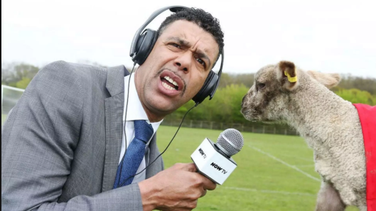 VIDEO | Gafa gafelor în istoria televiziunilor de sport!