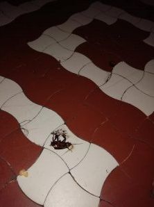 Ca pe vremea lui Ceauşescu! Mobilizare la secţia Pediatrie Deva, poate vine Sorina Pintea