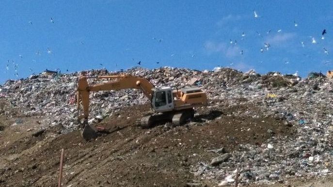 Caracatița intereselor ”țesute” de IRIDEX în jurul gropii de gunoi de la Chiajna