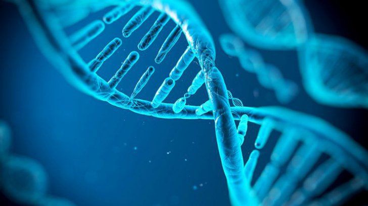 O mutație genetică ar putea să-i facă pe oameni mai puternici decât își imaginează