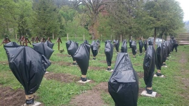 Crucile eroilor români din cimitirul Valea Uzului, acoperite cu saci negri de plastic