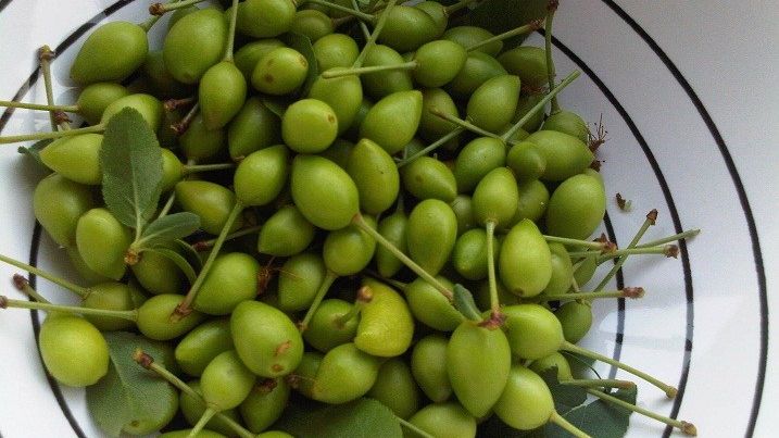 Dieta cu corcodușe te ajută să slăbești 5 kg în doar 7 zile!