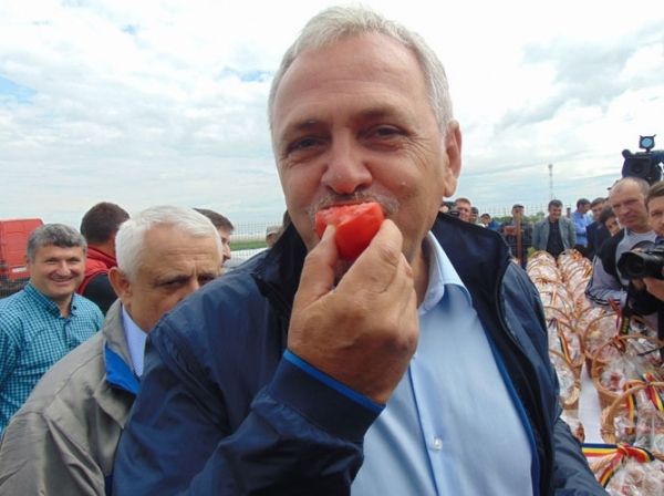 Unde este Dragnea lider absolut? L-au votat peste 72% dintre locuitorii comunei