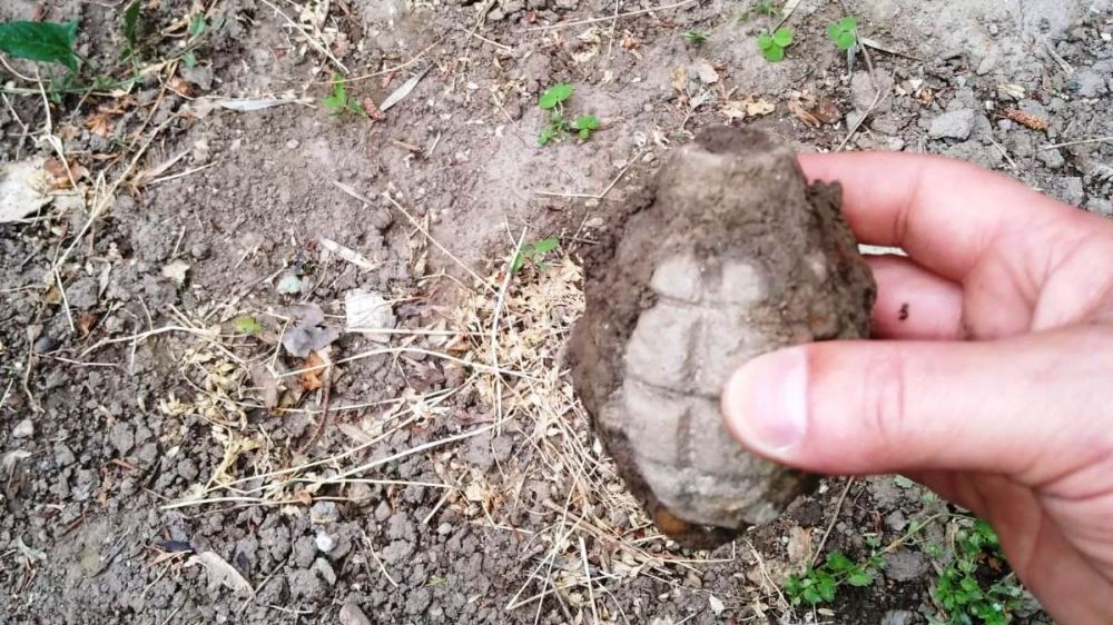 Descoperire șocantă făcută de o femeie din Călărași fix în fața blocului în care locuiește!