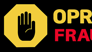 PNL și-a făcut site pentru reclamat fraude la vot 