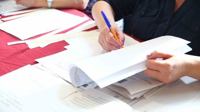 Rezultate europarlamentare 2019 Diaspora. Un independent are mai multe voturi decât PSD!