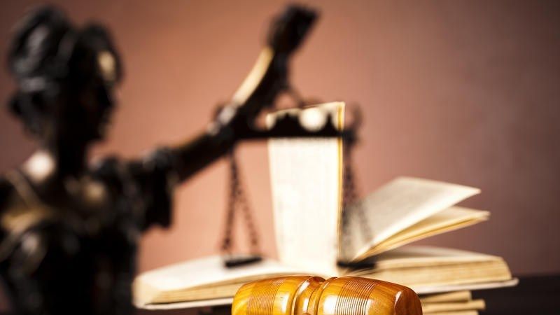 Premierul Dăncilă: Olanda nu a pus în practică tot ce scrie în raportul GRECO. Să luăm exemplul!