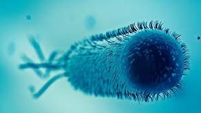 Caz grav la un spital de urgenţă din România: apa de la robinet, INFESTATĂ cu E.coli