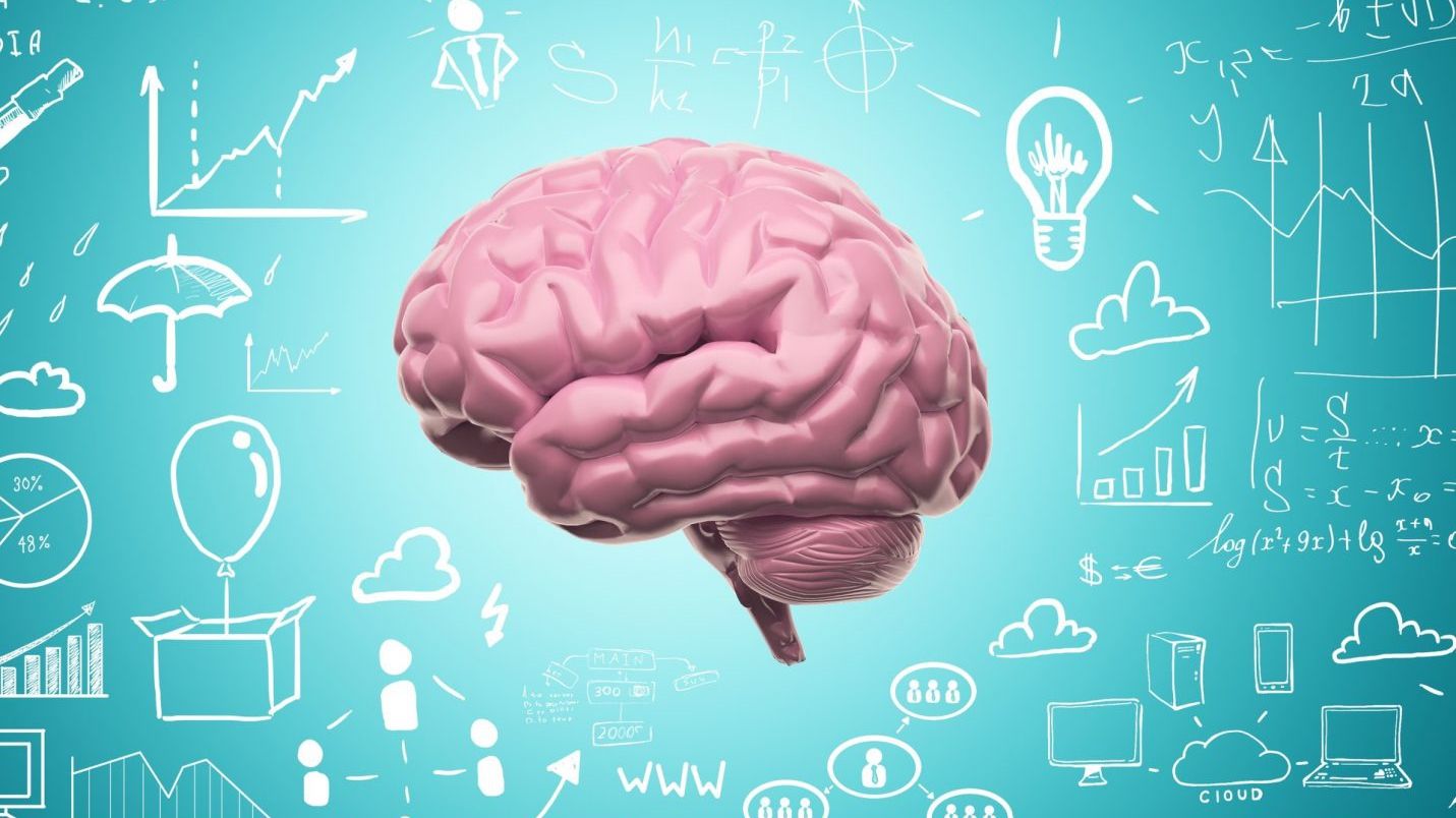 Câtă încredere ar trebui să ai în jocurile care îți promit stimularea inteligenței?