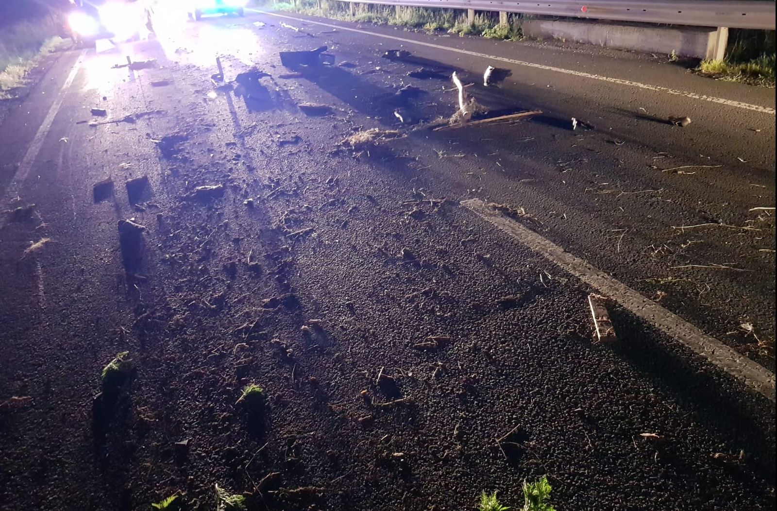 Băiețelul de 8 ani din "căruța morții" nu a mai putut fi salvat