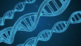 Subiecte Biologie BAC 2019 Edu.ro