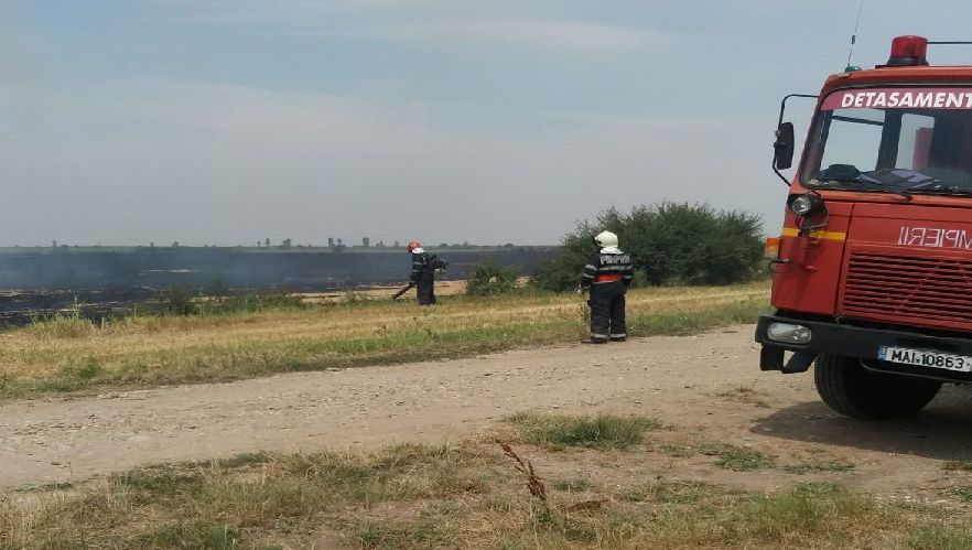 Incendiu la porțile Timișoarei. Zeci de hectare de vegetatie, în flăcări