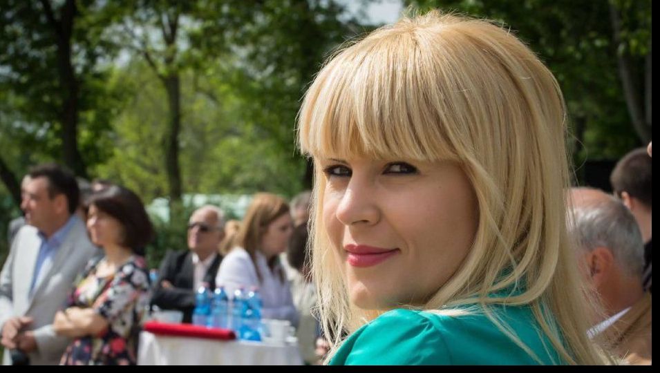 Înalta Curte a DECIS: Udrea poate fi audiată și prin videoconferință în dosarul privind finanțarea ilegală a campaniei lui Băsescu