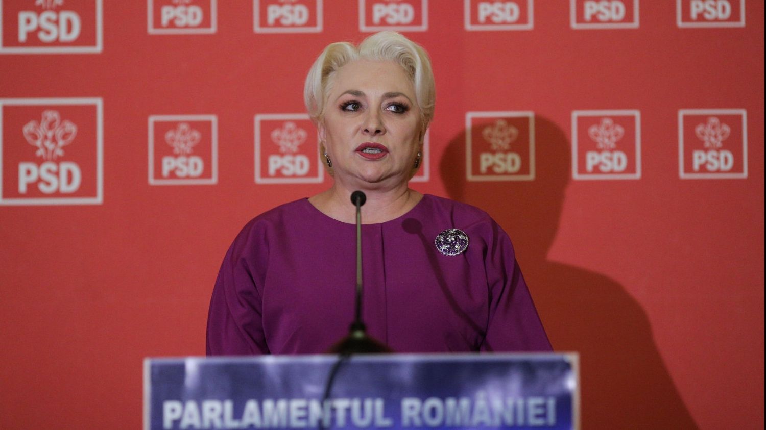 Viorica Dăncilă: Vom merge în Parlament şi vom încerca să obţinem susţinerea necesară