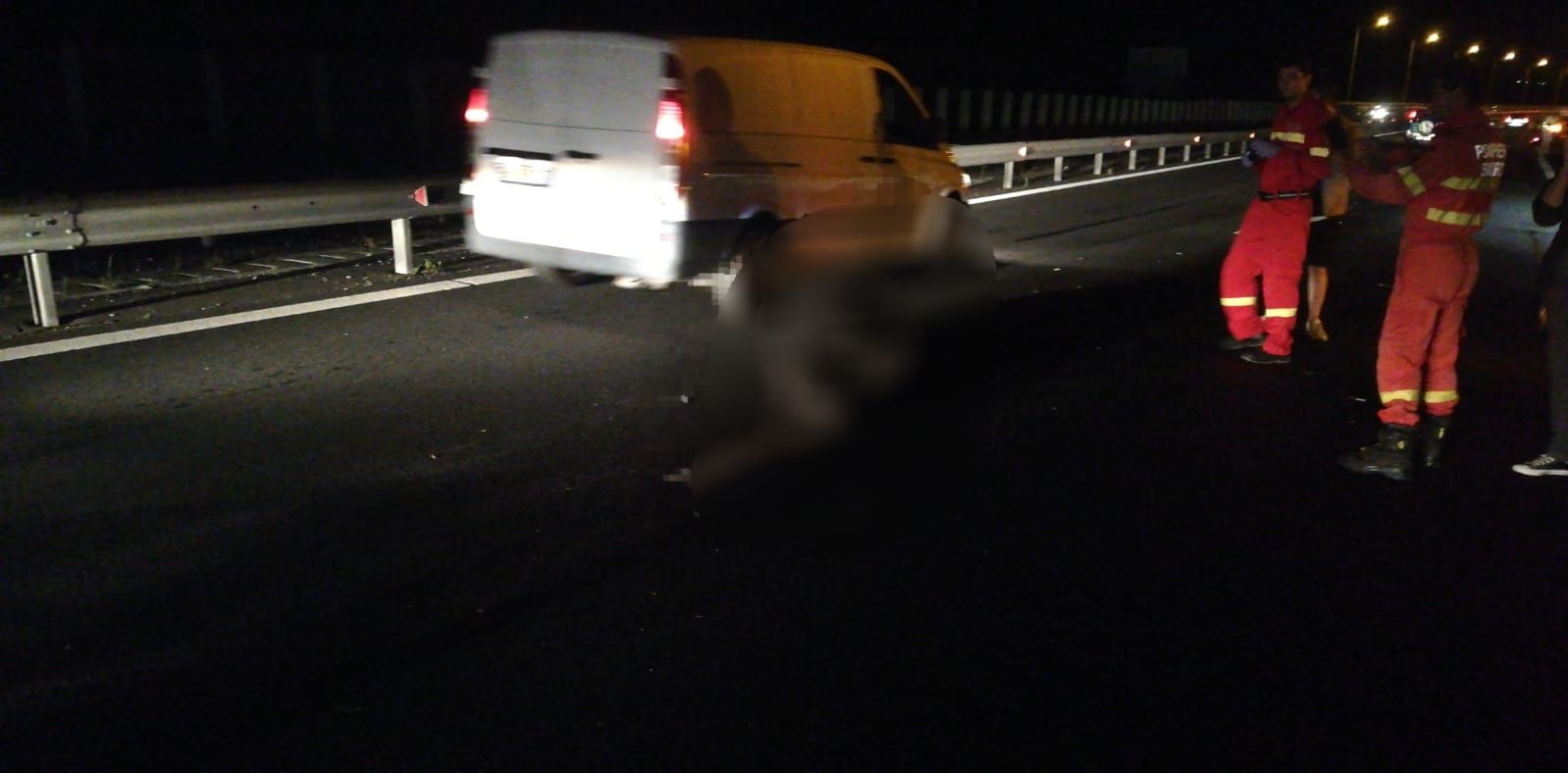 Accident pe Autostrada A1: 4 maşini au lovit un urs. 2 copii primesc îngrijiri medicale