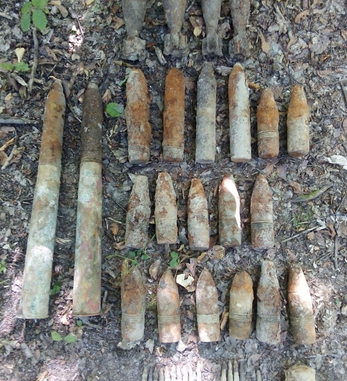 Arsenal de muniție neexplodată, descoperit într-o pădure din Neamț 