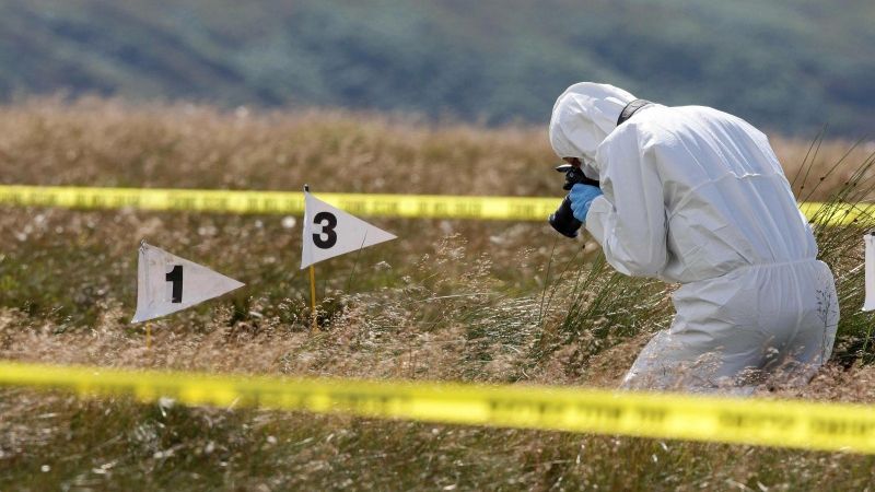 Descoperire macabră într-o cultura de viță de vie din județul Teleorman!