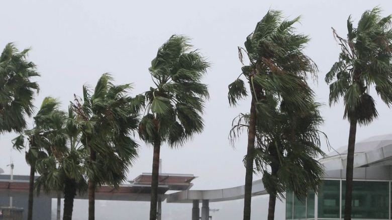 Alertă în Japonia! Un taifun lovește arhipelagul nipon