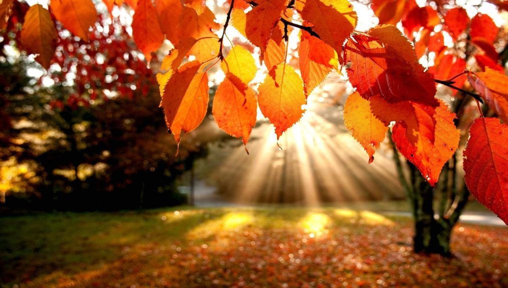 Horoscopul TOAMNEI 2019. Ce aduce zodiilor un sezon intens astral?