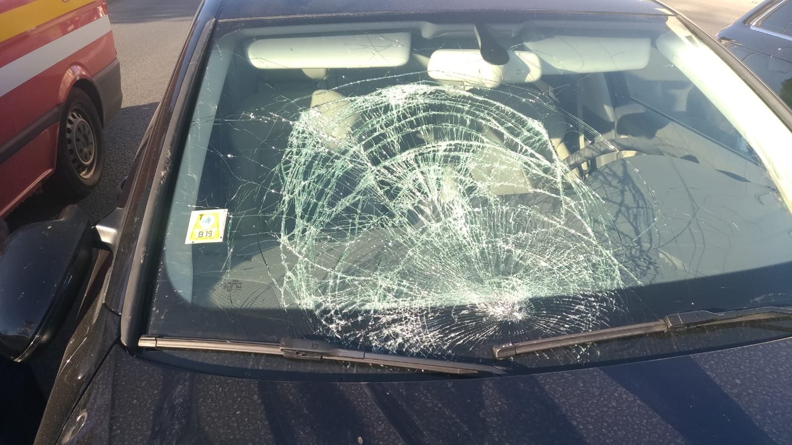 Accident grav, la Cluj. Adolescentă care încerca să salveze o pisică, lovită de maşină