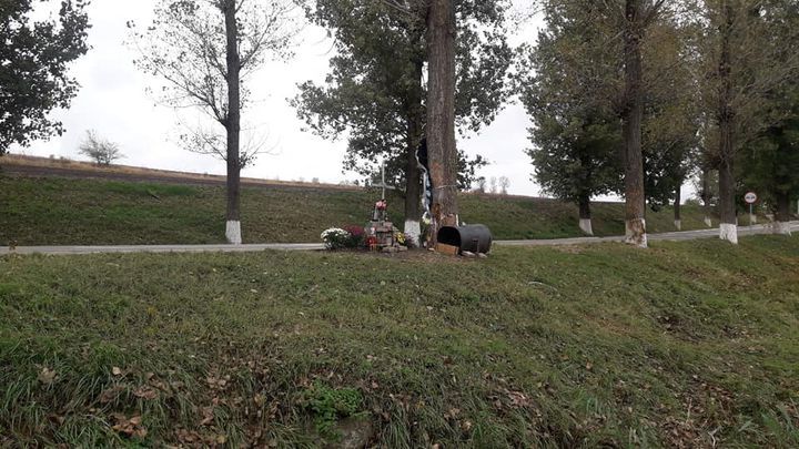 Devotament! Un câine păzește locul în care a murit stăpânul său