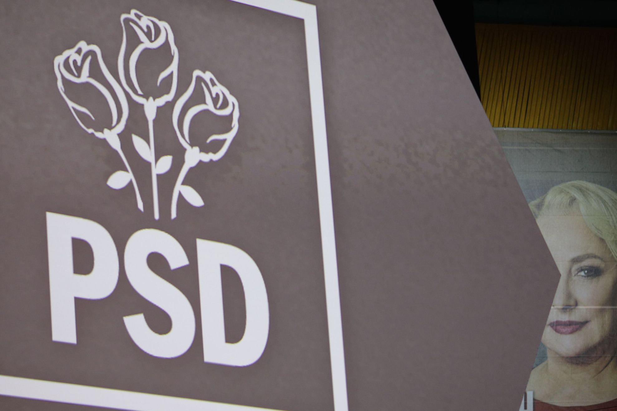 Cum răspunde PSD la provocarea lui Iohannis privind citititul