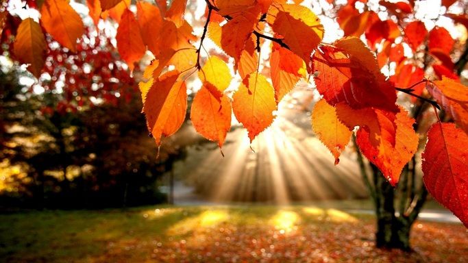 Prognoza meteo pentru septembrie