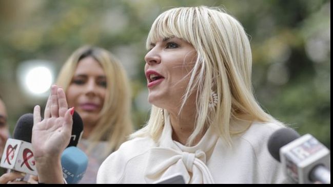 Acuzații din dosarul Microsoft, pentru care Elena Udrea a fost arestată în 2015, au fost clasate