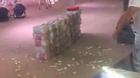 Ce au văzut părinții miresei în mijlocul petrecerii. Cadoul mirelui i-a lăsat pe toți fără vorbe