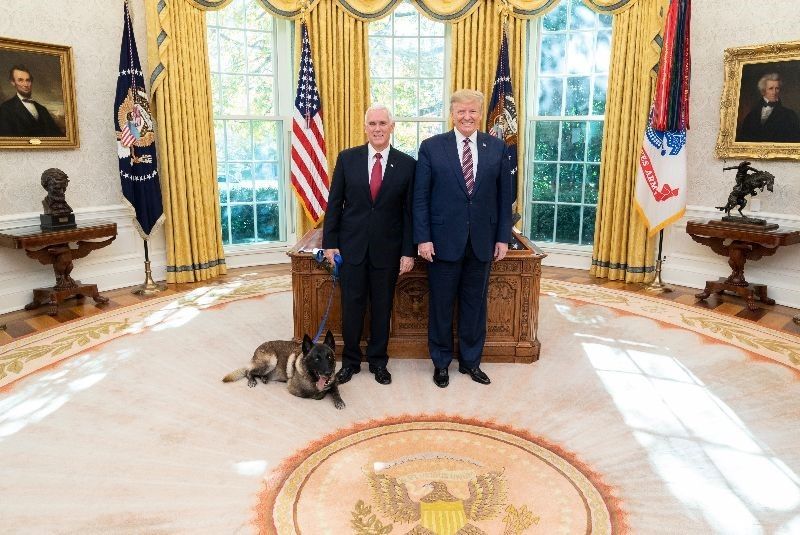 Conan, „câinele erou” al armatei SUA, decorat la Casa Albă