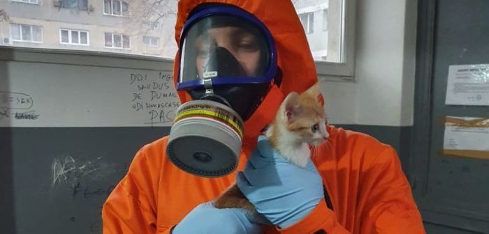 Încă două suflete salvate de pompieri din „blocul groazei” din Timișoara