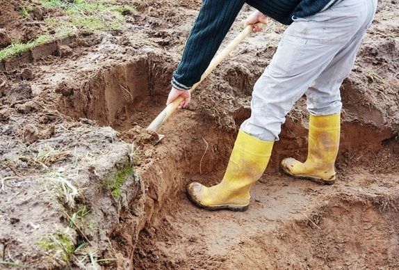 De ce cred procurorii din Olt că oasele găsite pe un câmp ar fi putut fi "plantate" acolo