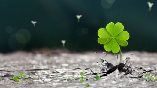 4 zodii care se îmbogățesc până la sfârșitul anului