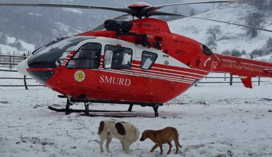 Intervenție SMURD, în jud. Bistrița-Năsăud: un bărbat a fost lovit de un cal