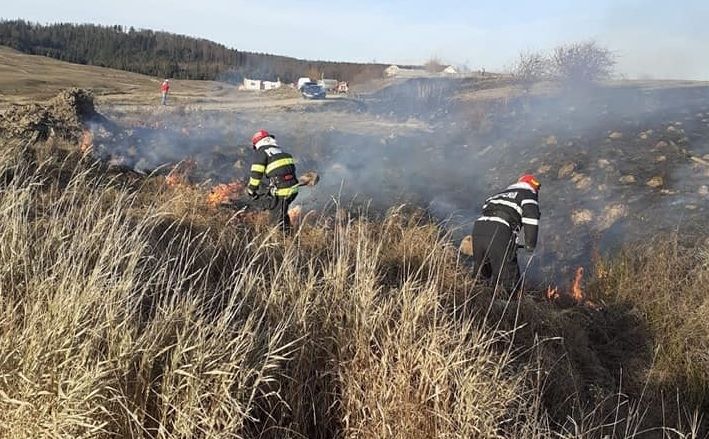 Descoperire tulburătoare, în jud. Suceava: ce au găsit pe câmp, după stingerea unui incendiu de vegetație